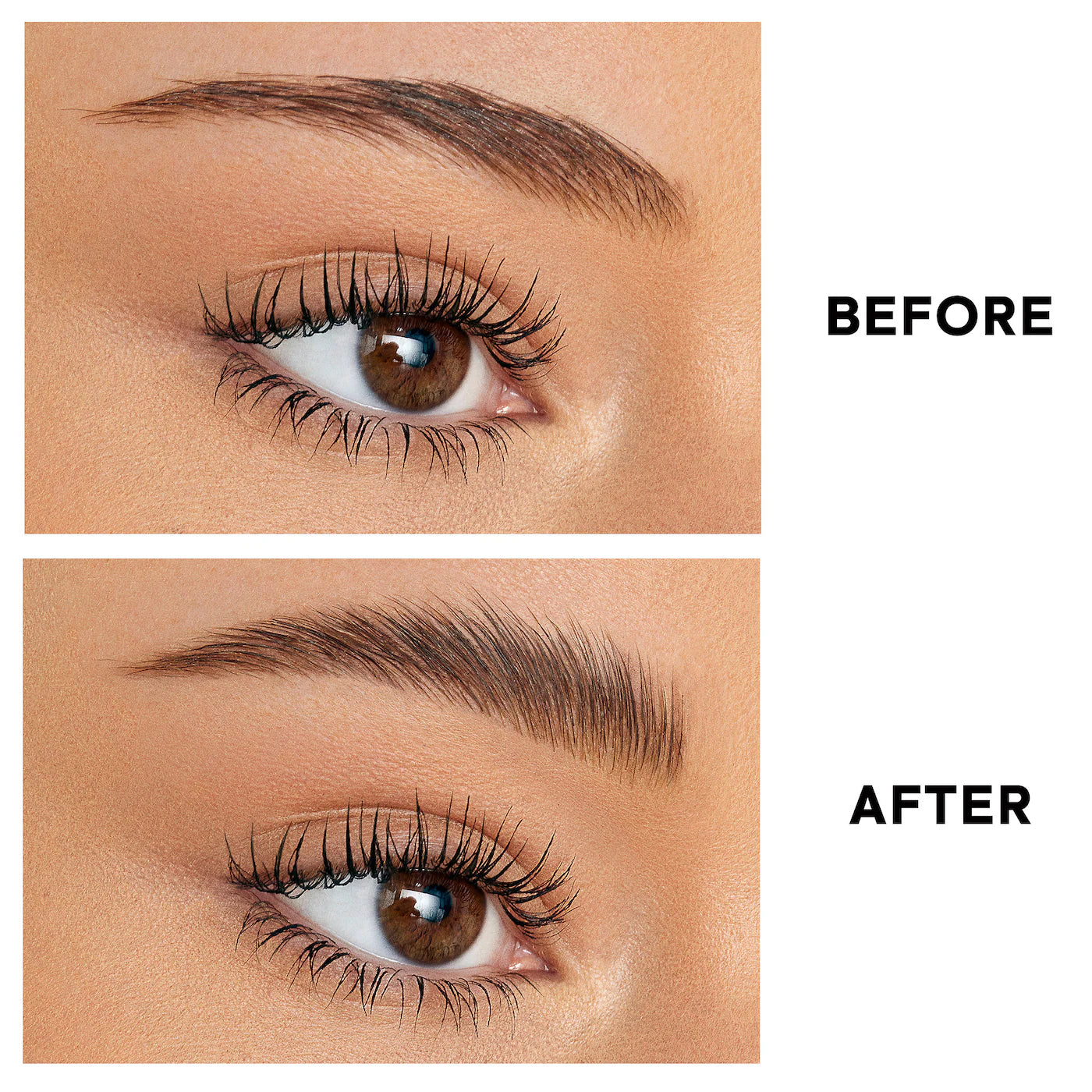 MAJOR BROW