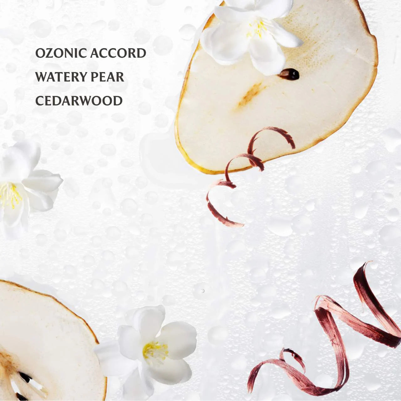 Power Mist - Rainwater