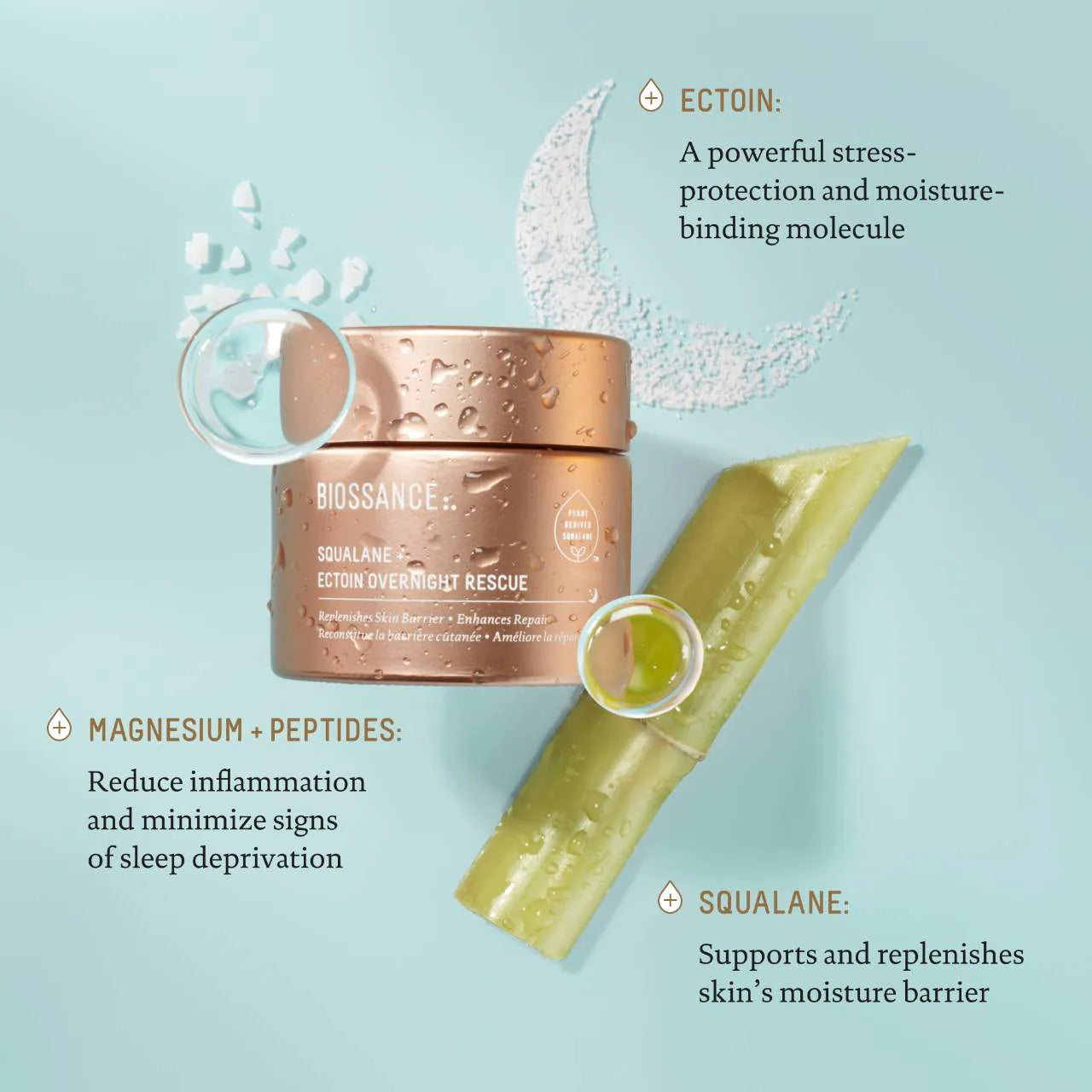 Ectoin Overnight Rescue Deep Repair Night Moisturizer + Squalane