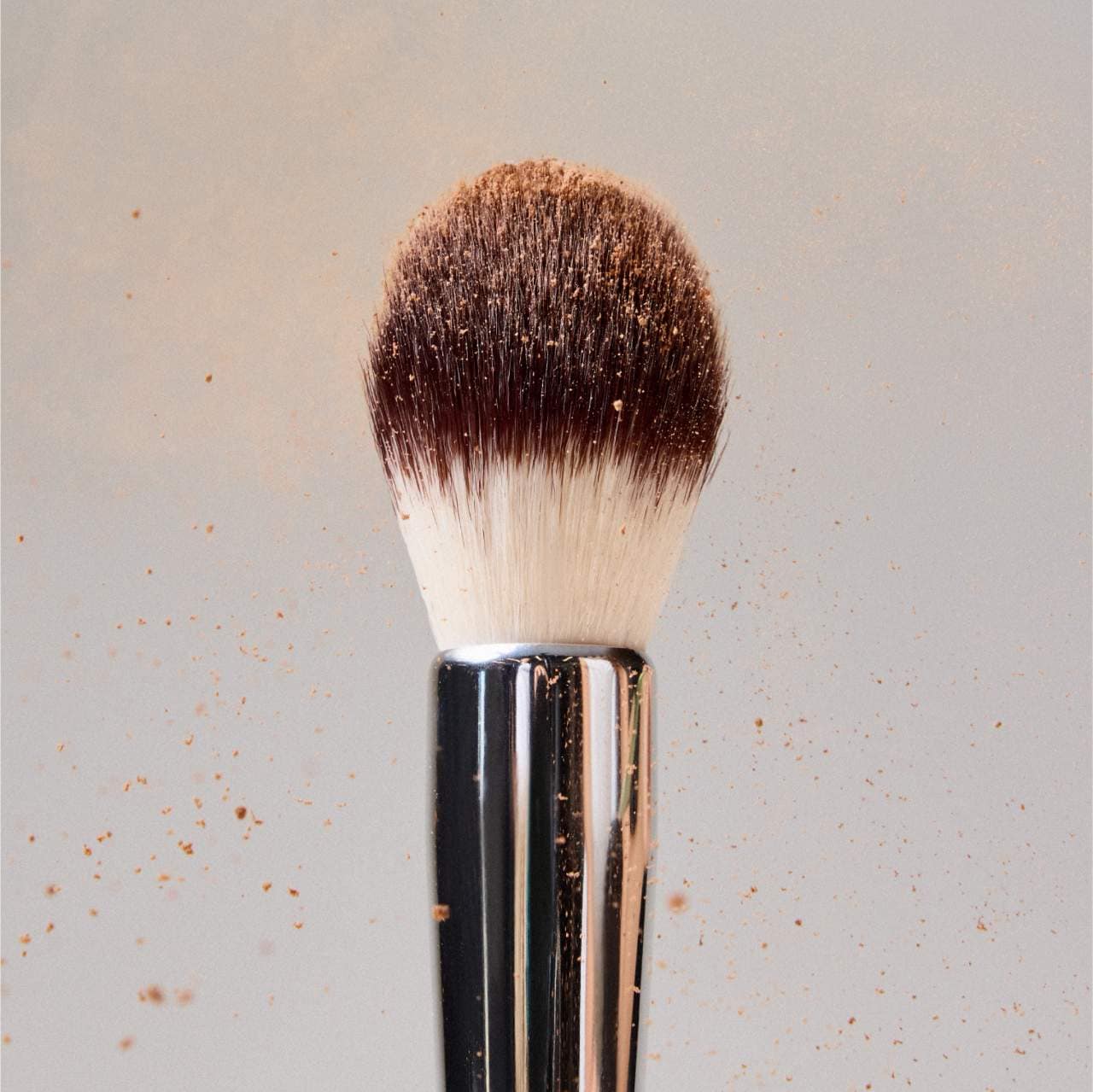 Precision Powder Brush