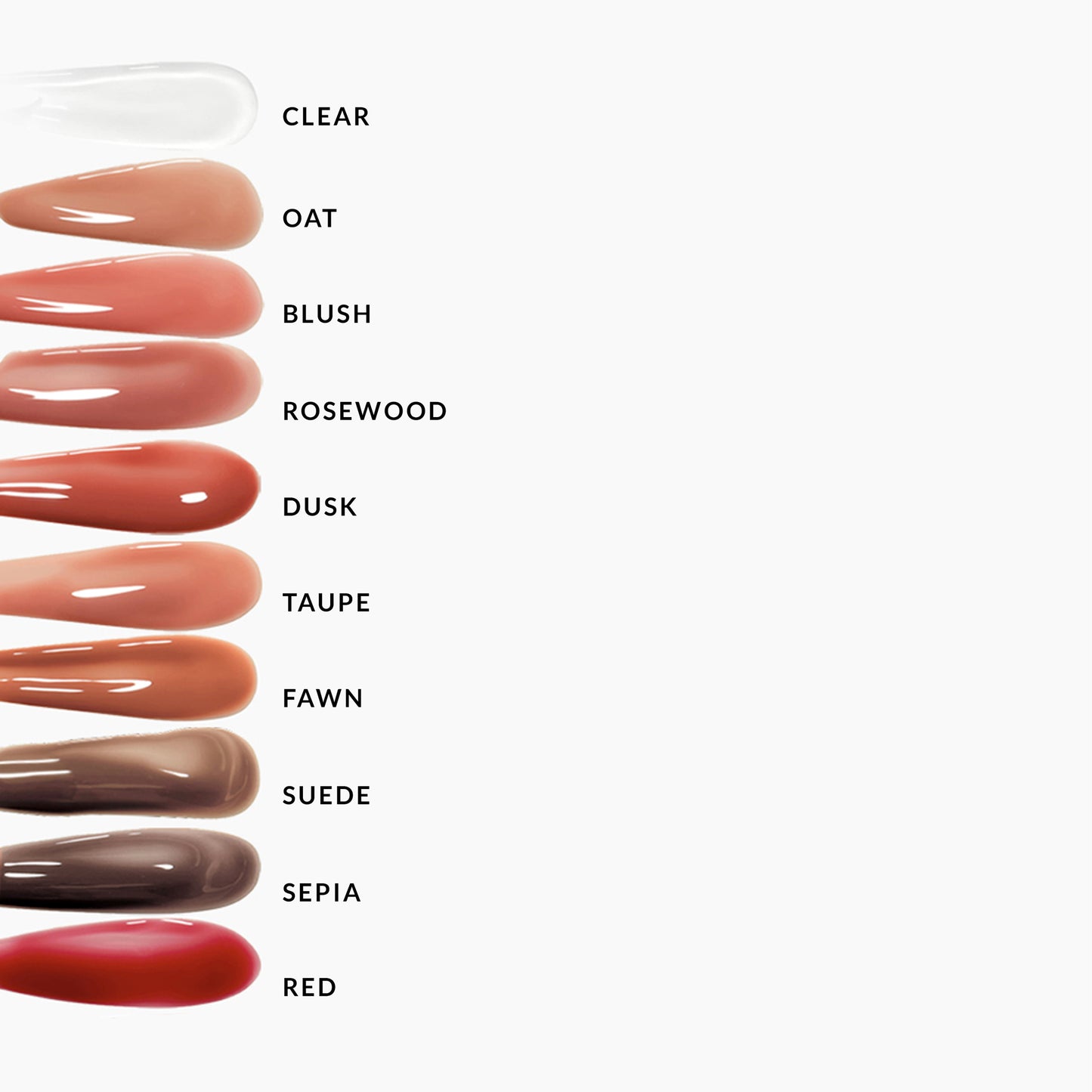 Lip Gloss