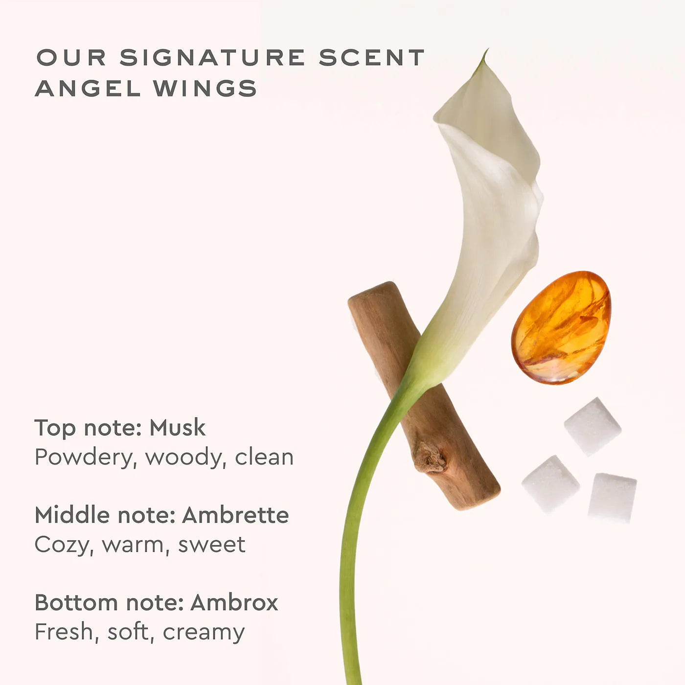Aura Hair & Body Fragrance Mist