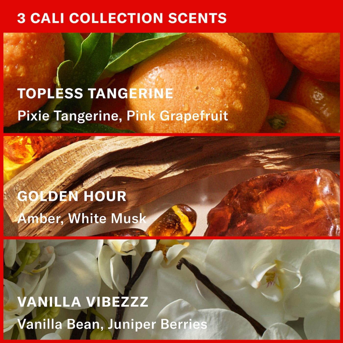 BITE-SIZED BUTTERS Gift Set