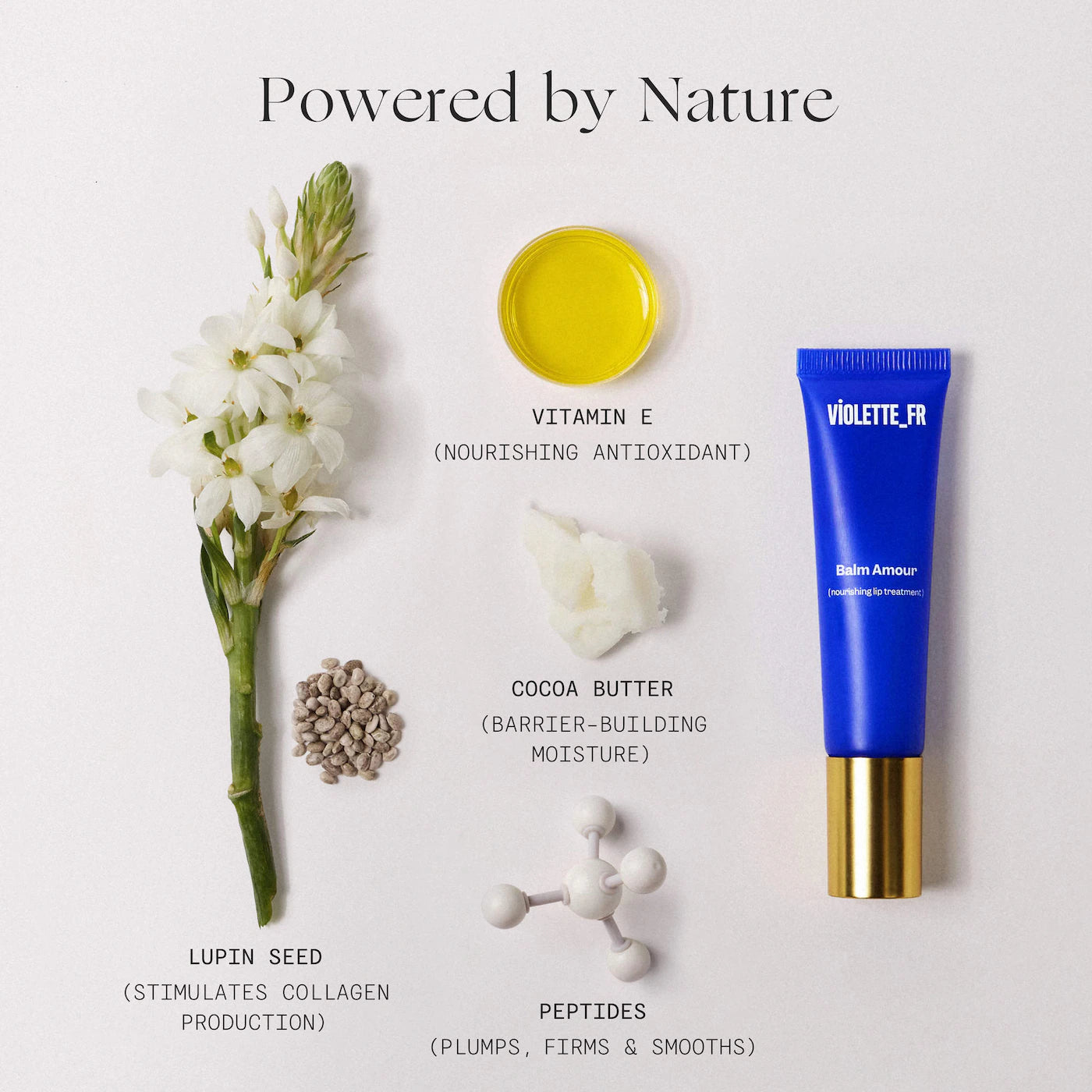 BALM AMOUR Nourishing Lip Treatment