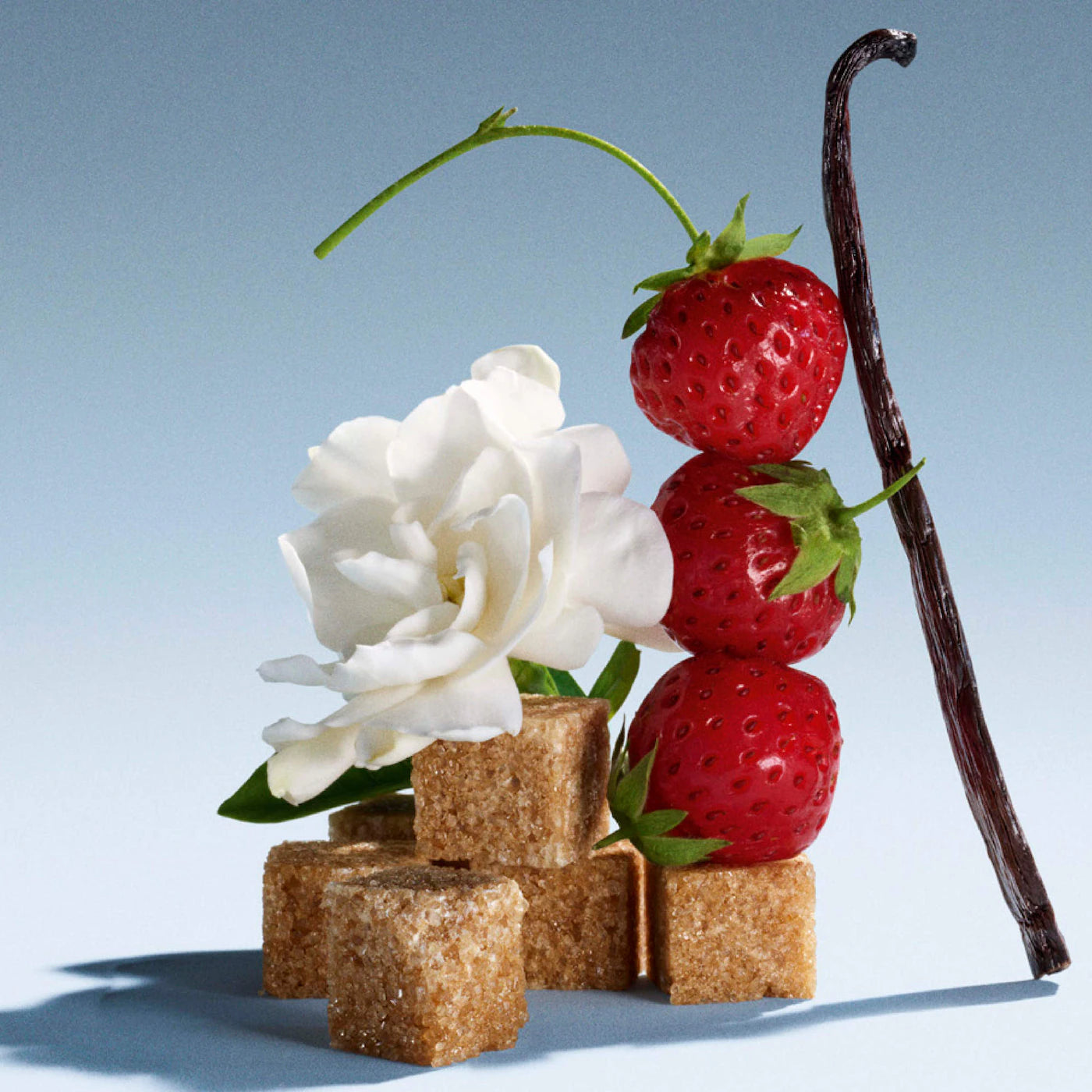 Mini Miutine Duo Gift Set