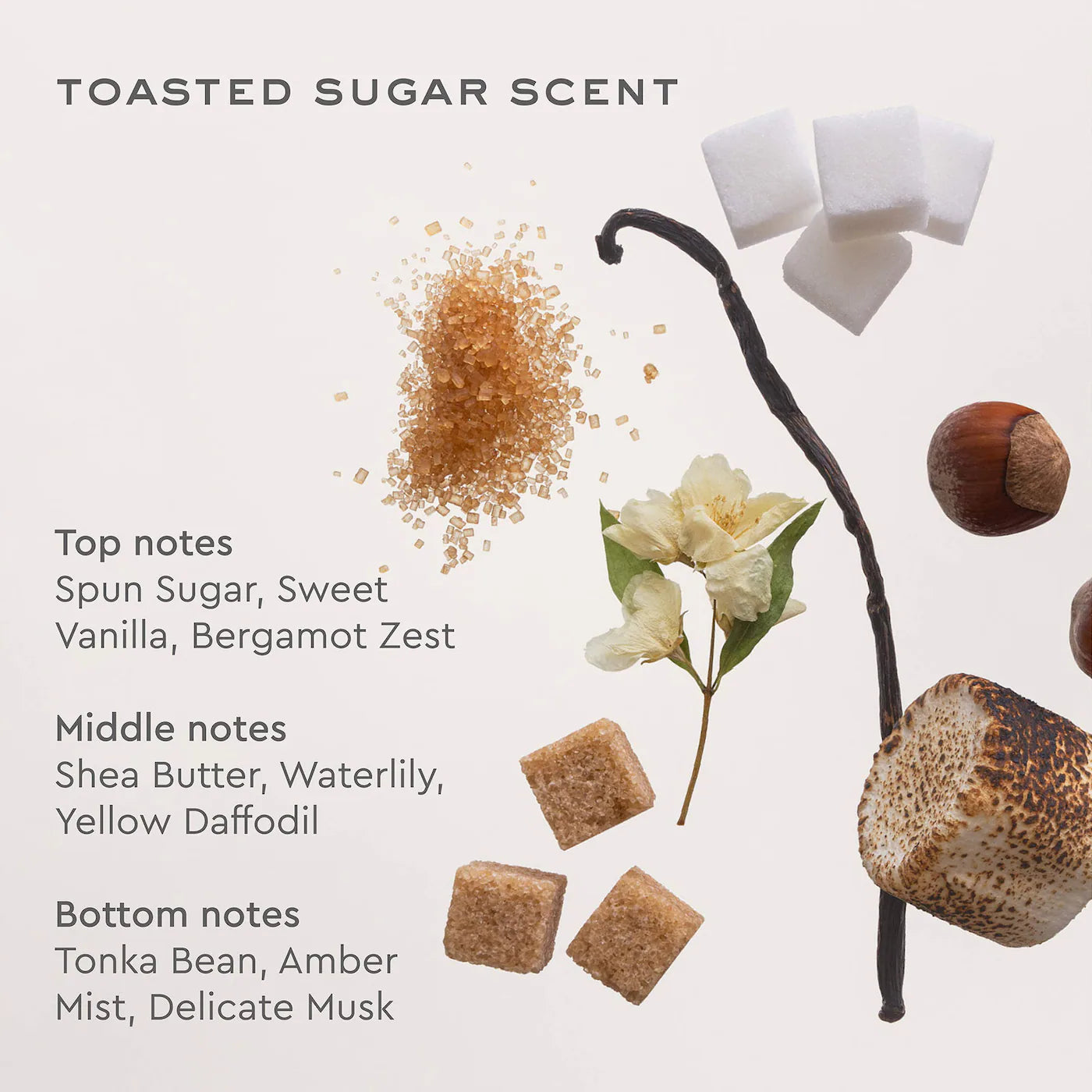 Aura Hair & Body Fragrance Mist in Toasted Sugar