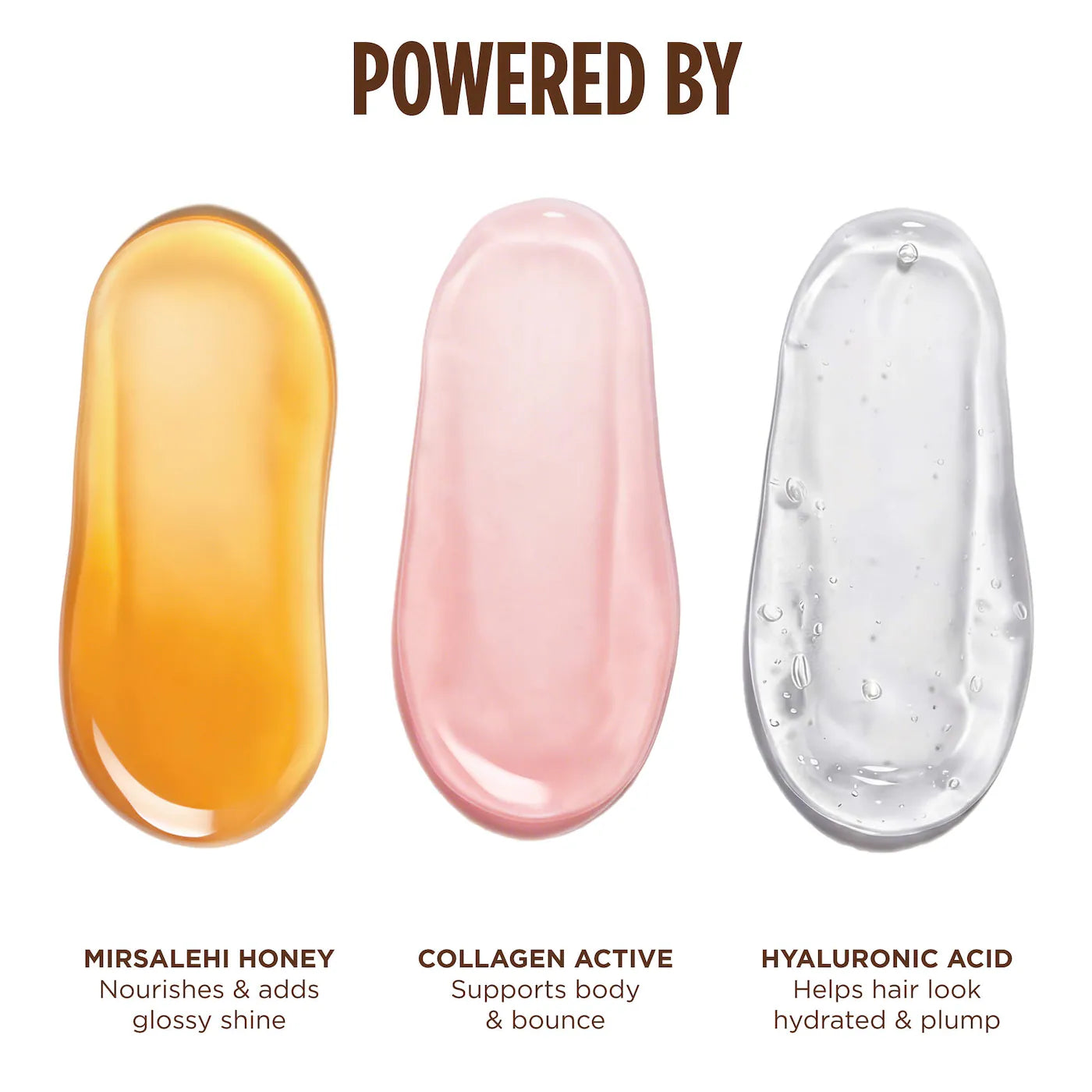 Honey Gloss Collagen Drops Hair Oil for Fine to Medium Hair
