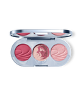 ballet rosé blush palette