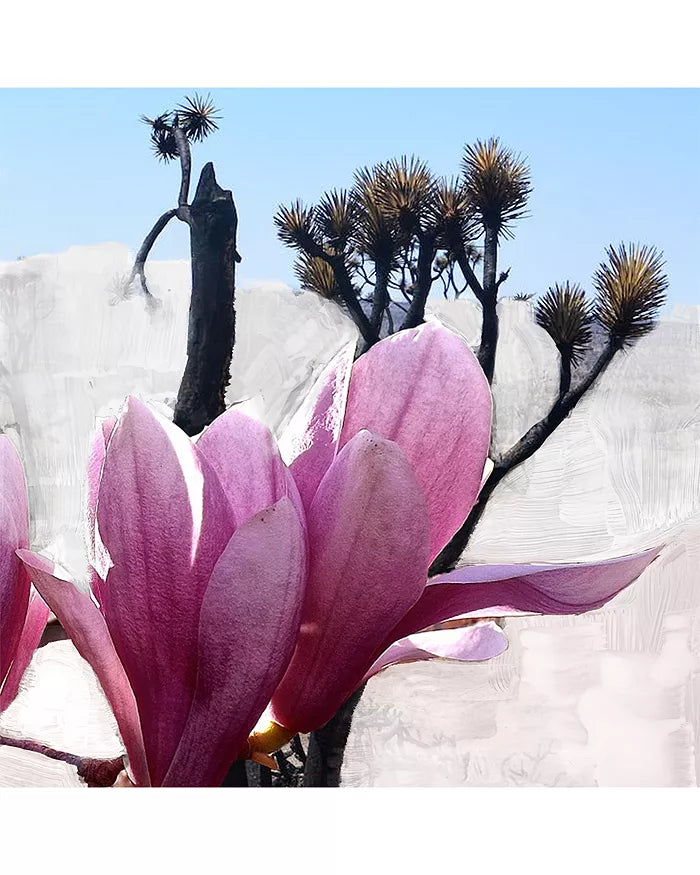 Mojave Ghost Eau de Parfum