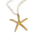 The Starfish