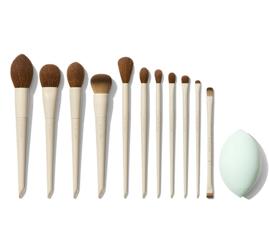 Morphe x Ariel Signature Look 12-Piece