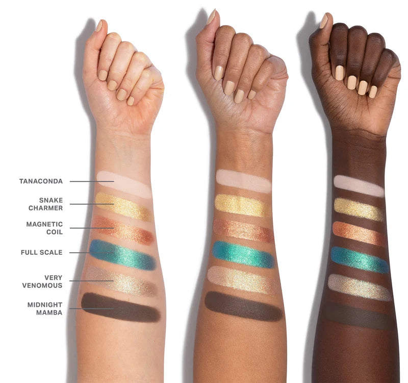 ChromaPlus 6-Pan Eyeshadow Palette