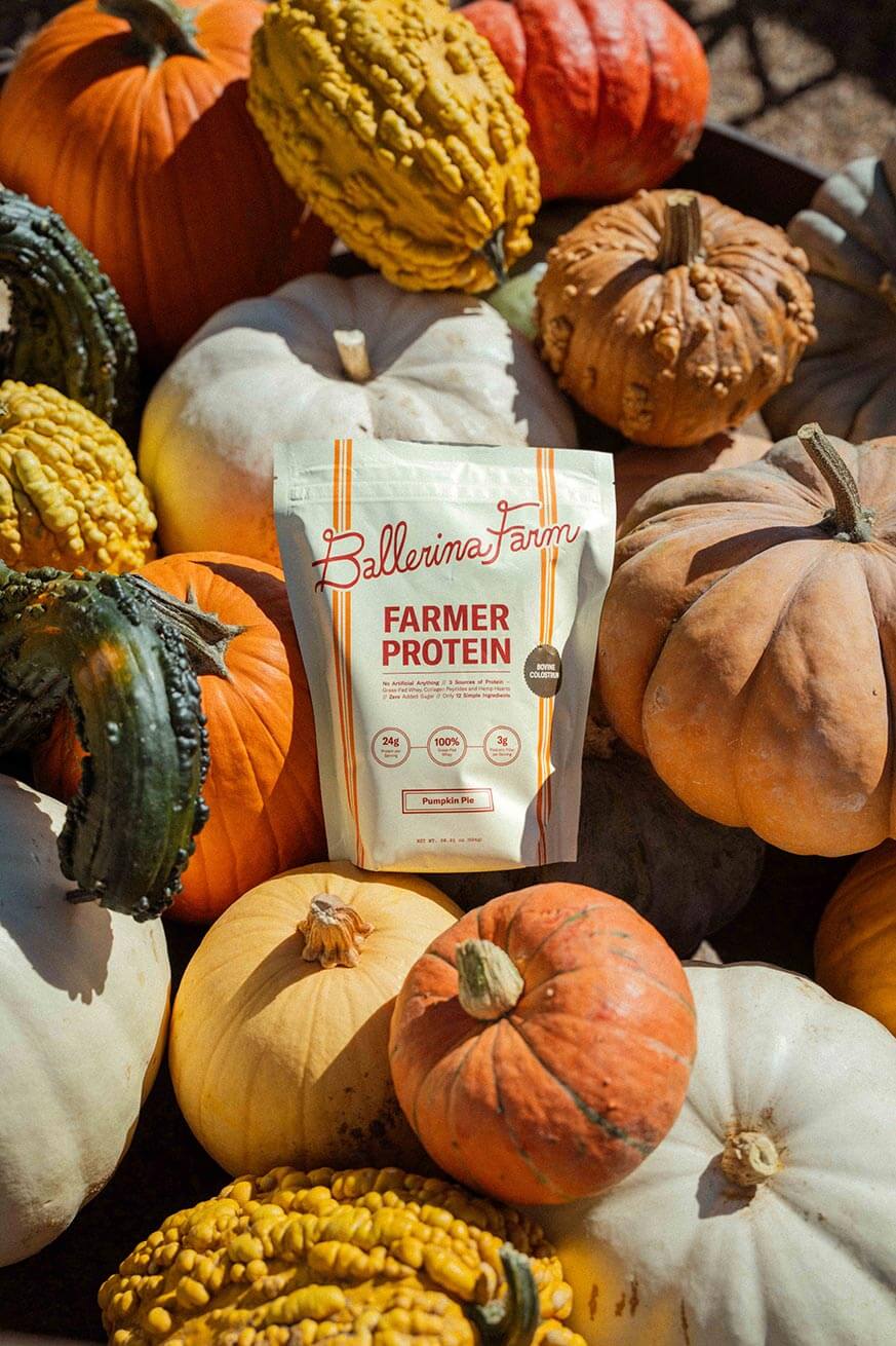 Pumpkin Pie Protein Farm