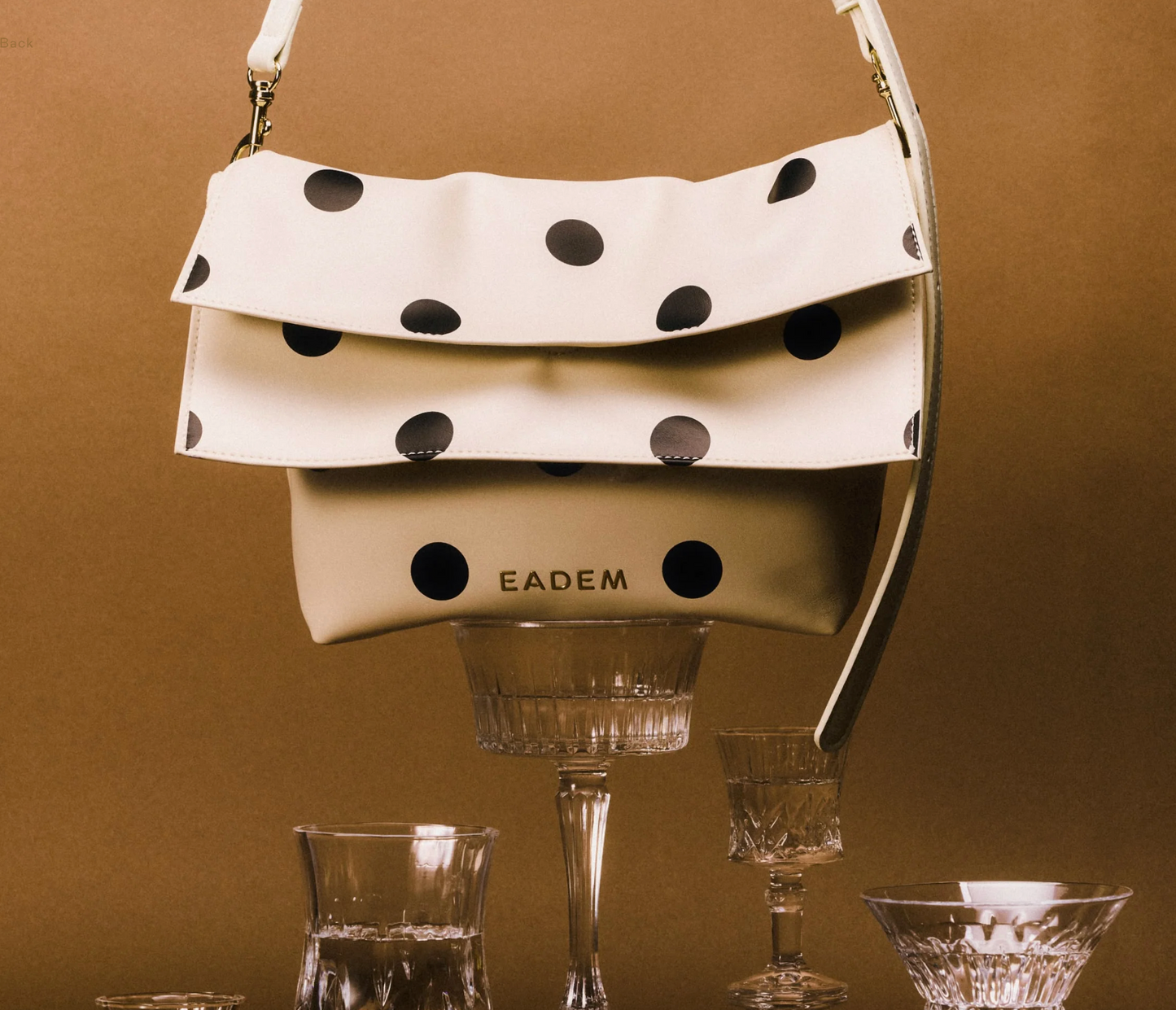 The Polka Dot Bag