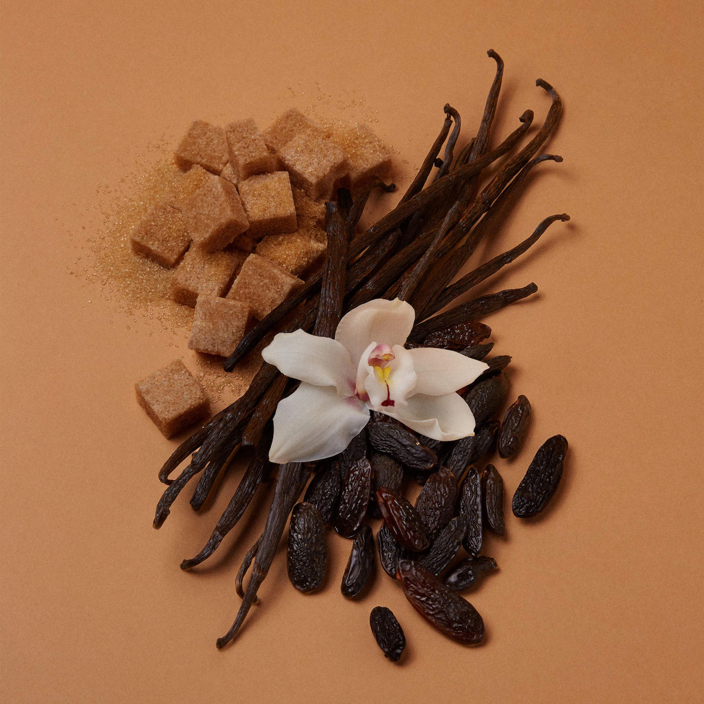VANILLA | 28 Eau de Parfum