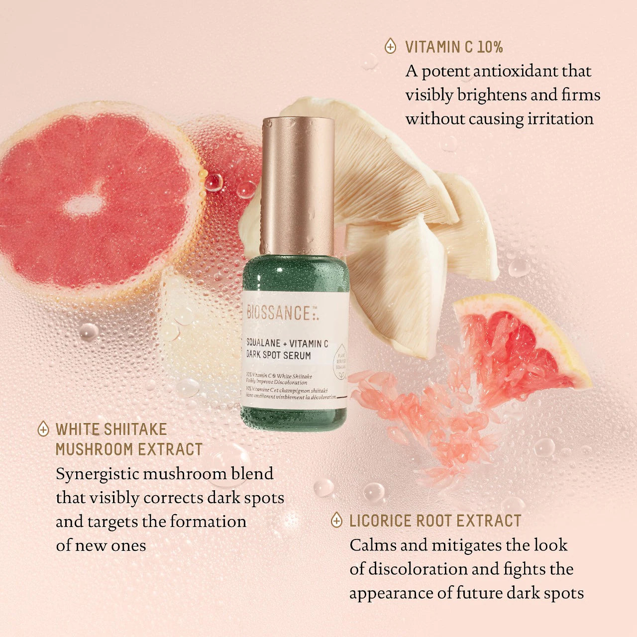 10% Vitamin C Dark Spot Serum + Squalane