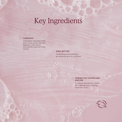 Cocoon Cleanse Solid Body Serum Cleanser with Shea Butter