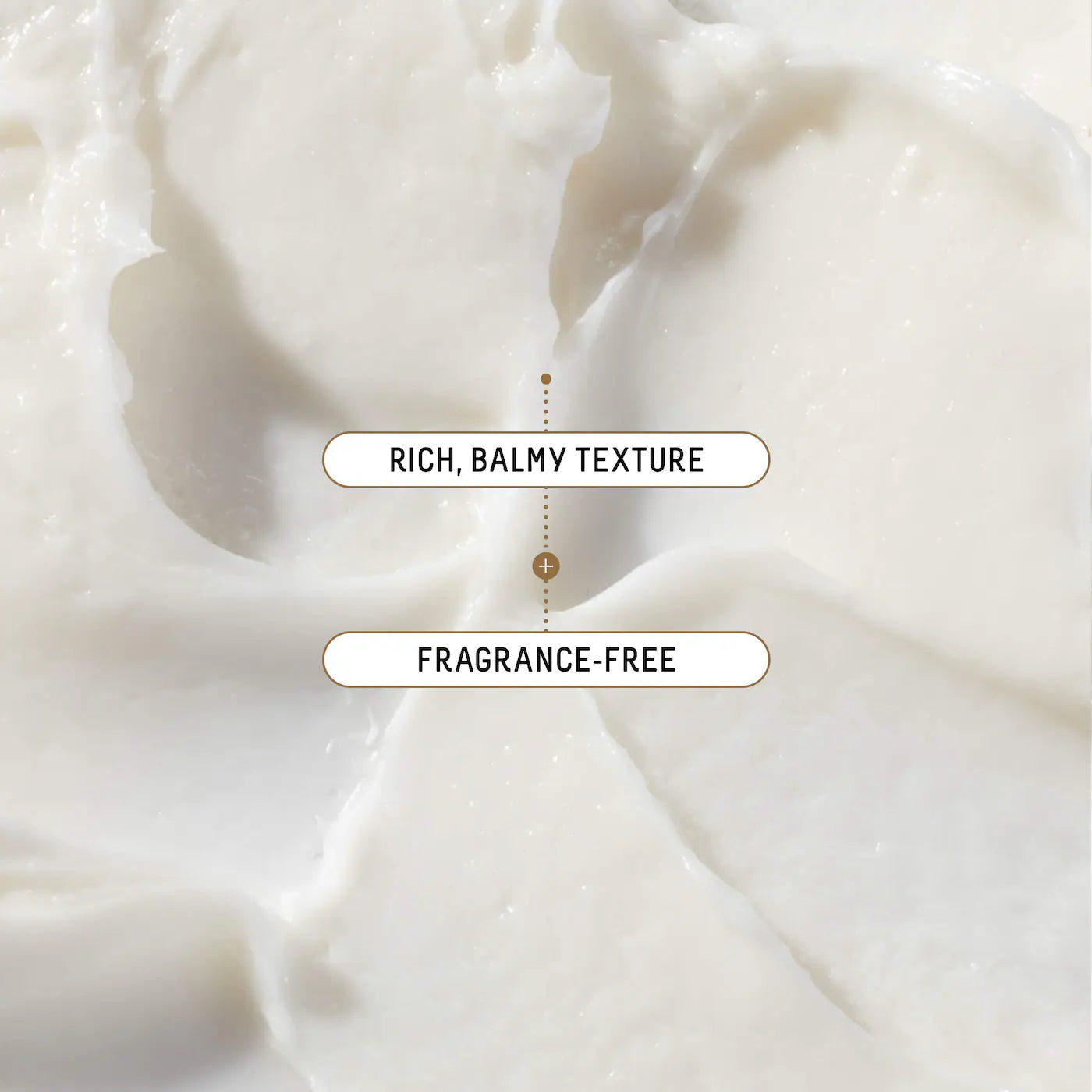 Ectoin Overnight Rescue Deep Repair Night Moisturizer + Squalane