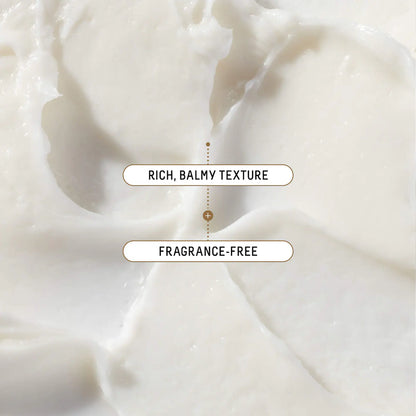 Ectoin Overnight Rescue Deep Repair Night Moisturizer + Squalane