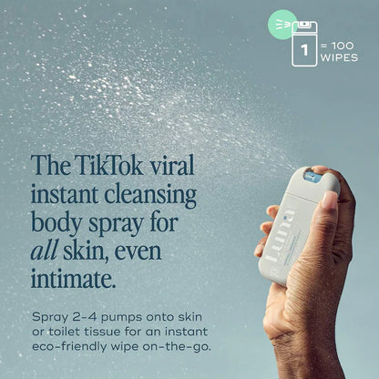 The Everywhere Spray-to-Wipe Original
