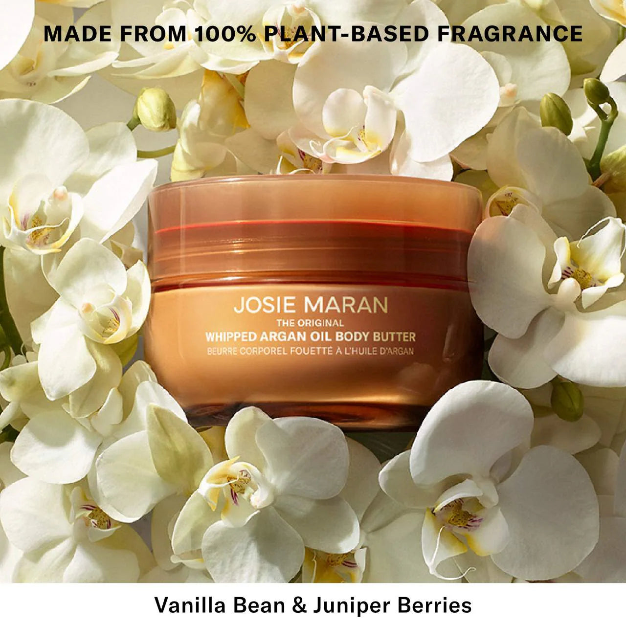 Whipped Argan Oil Body Butter - Vanilla Vibezzz