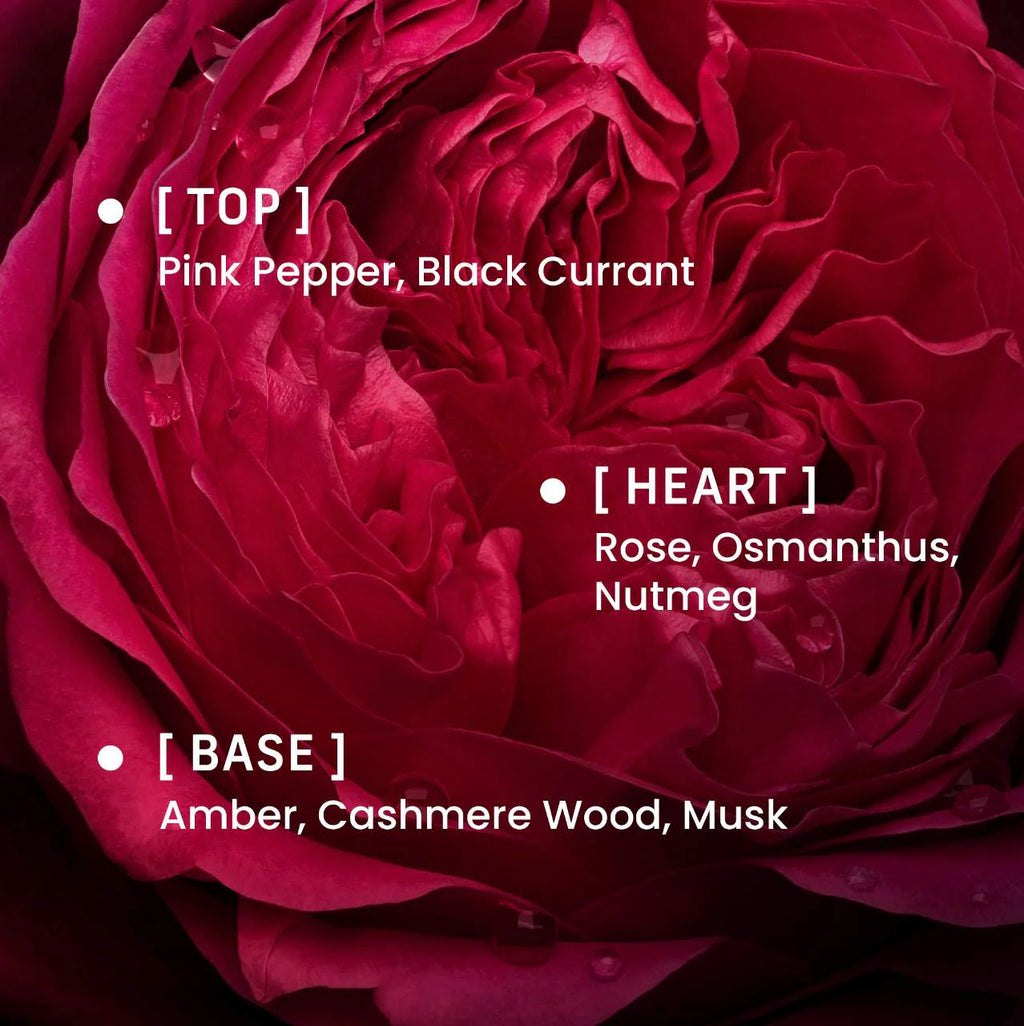 Rose Whip Eau de Parfum