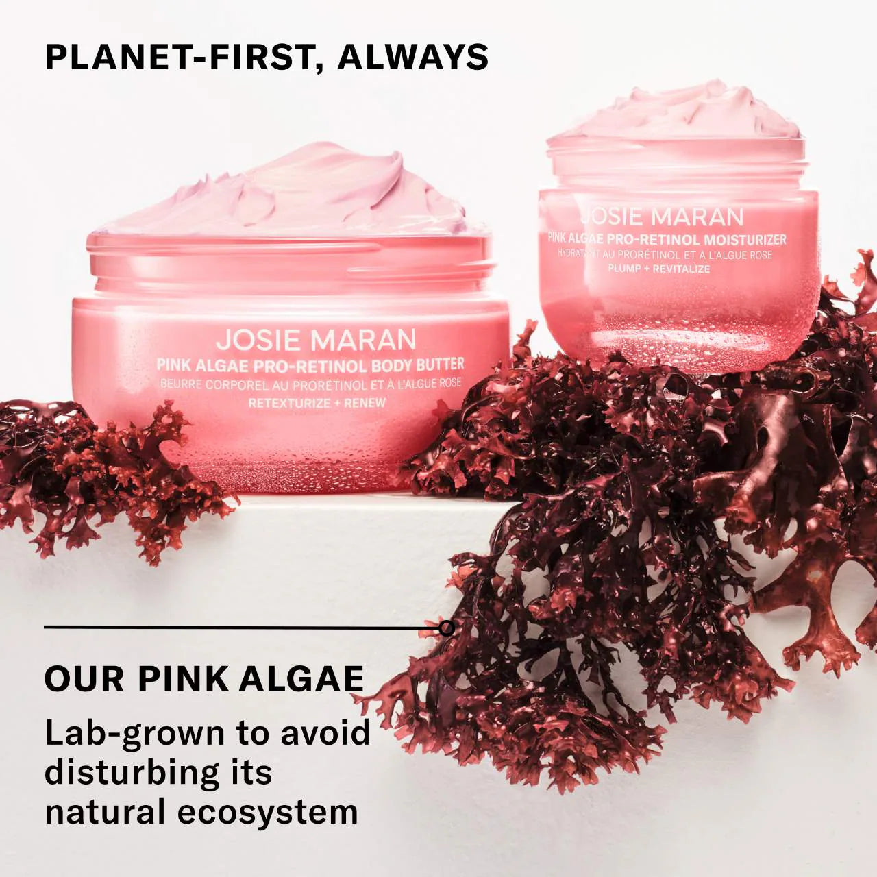 Pink Algae Pro-Retinol Anti-Aging Moisturizer
