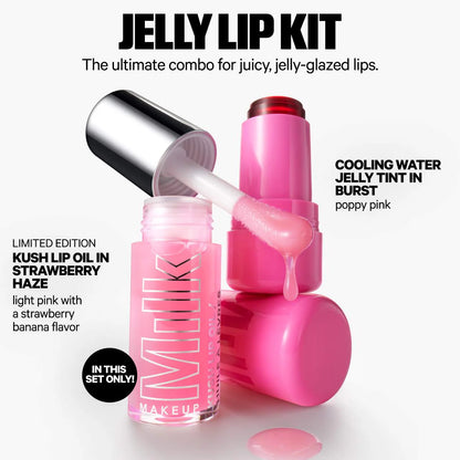 The Jelly Lip Kit