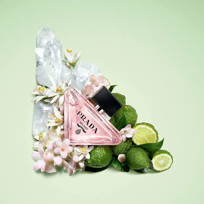 Mini Paradoxe Discovery Set