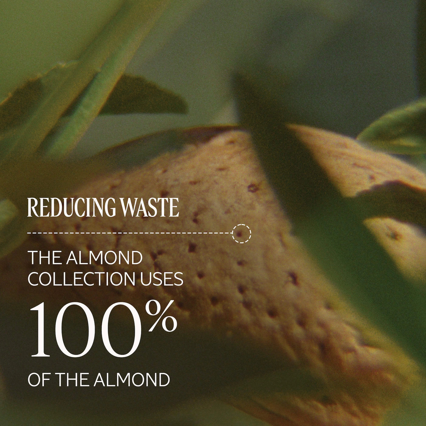 Hydrating Almond Milk Concentrate Body Moisturizer