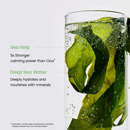 Refreshing Sea Kelp Real Deep Mask (4 pack)