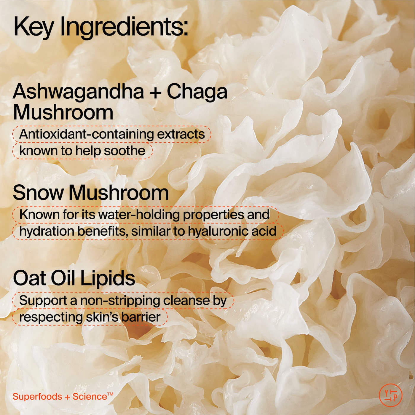 Adaptogens Supershroom Calm Cleanser
