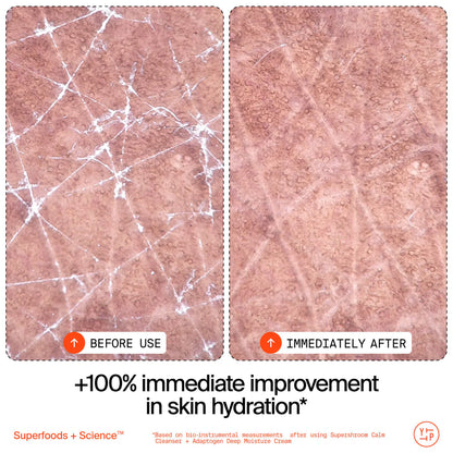 Adaptogens Supershroom Calm Cleanser