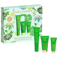 Brighten Up Essentials Set