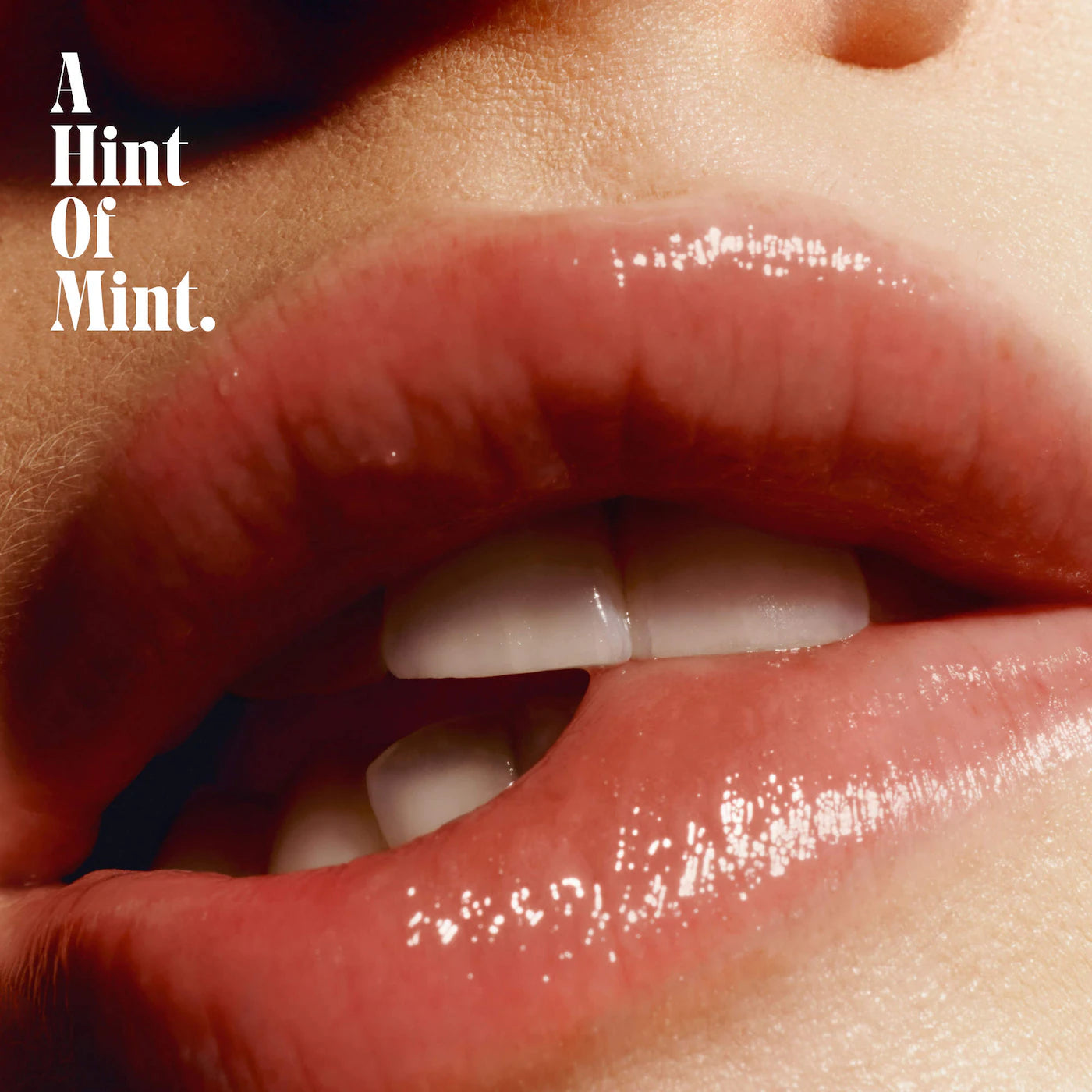 The Lip Balm