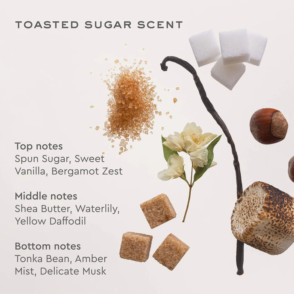 Aura Hair & Body Fragrance Mist in Toasted Sugar