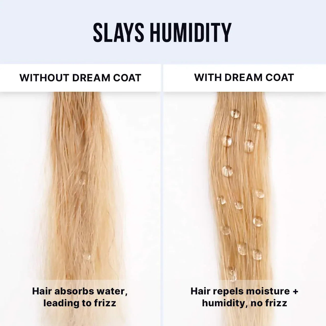 Dream Coat Hair Duo Gift Set