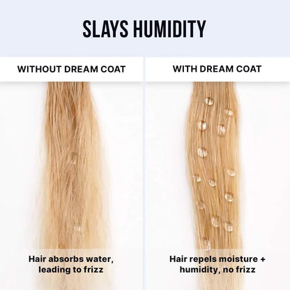 Dream Coat Hair Duo Gift Set