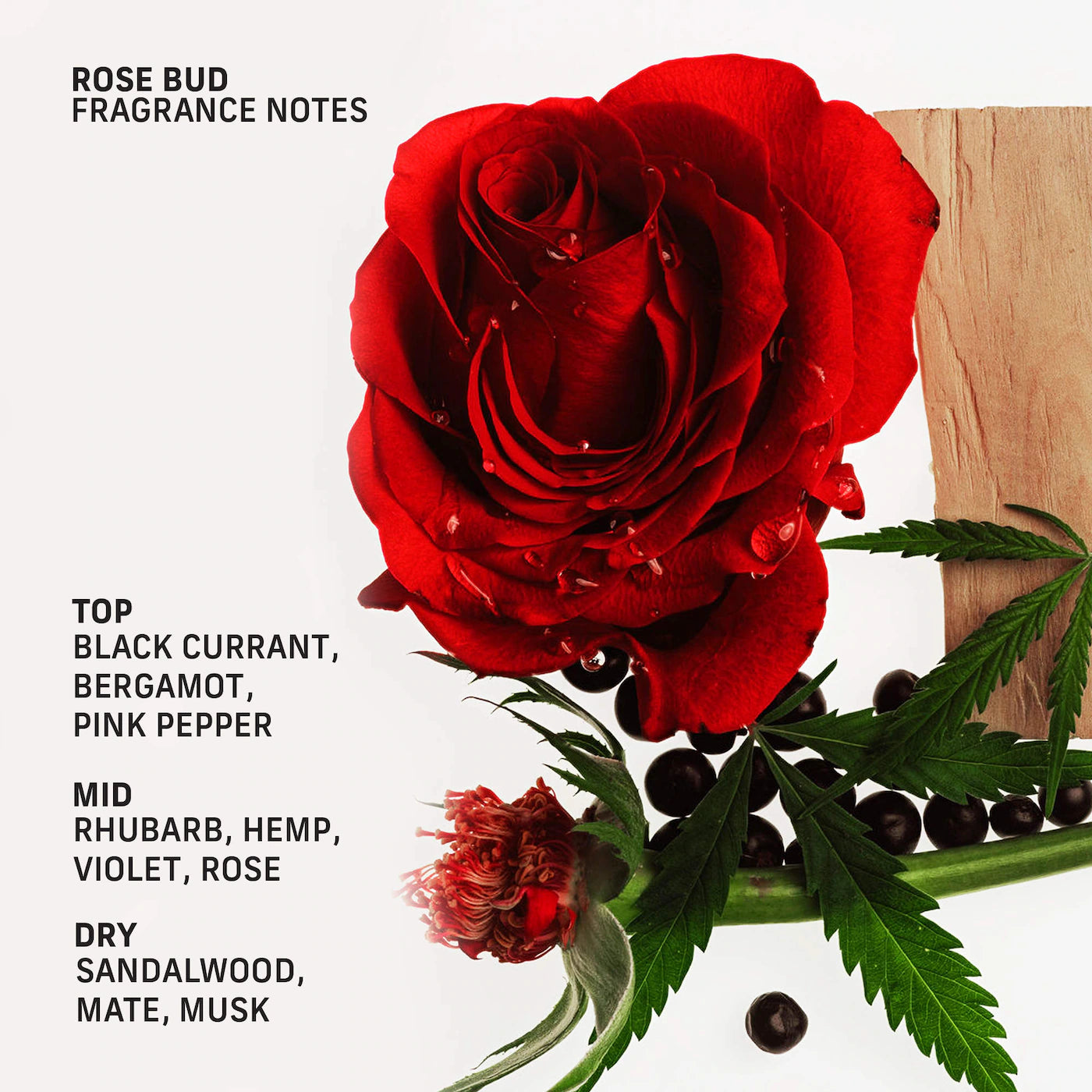 Rose Bud Roll-On Perfume Oil with Hemp and Black Currant