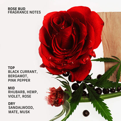 Rose Bud Roll-On Perfume Oil with Hemp and Black Currant