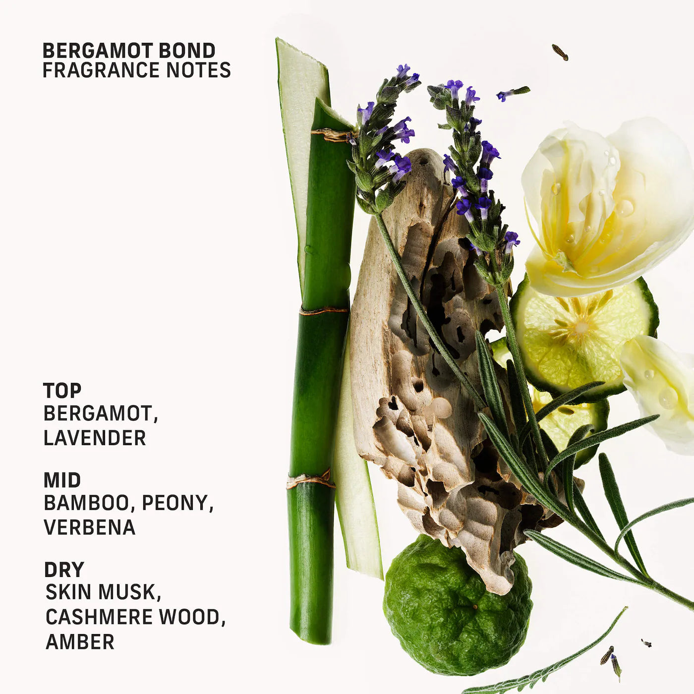 Bergamot Bond Urea Hand Cream with Ectoin and Squalane