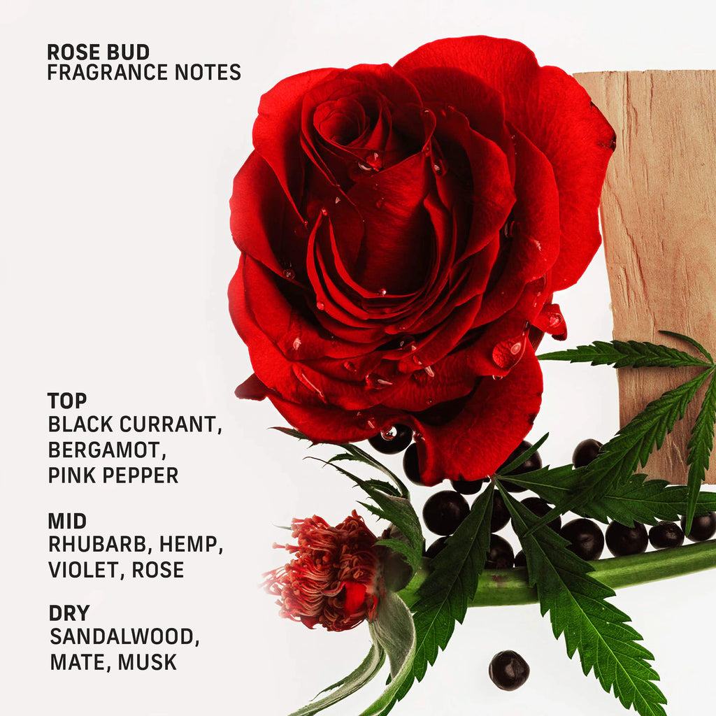 Rose Bud Sensorial Body Wash for Moisture Barrier