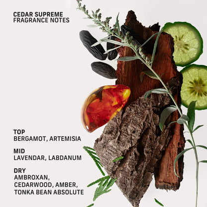 Cedar Supreme Roll-On Perfume Oil with Tonka Bean