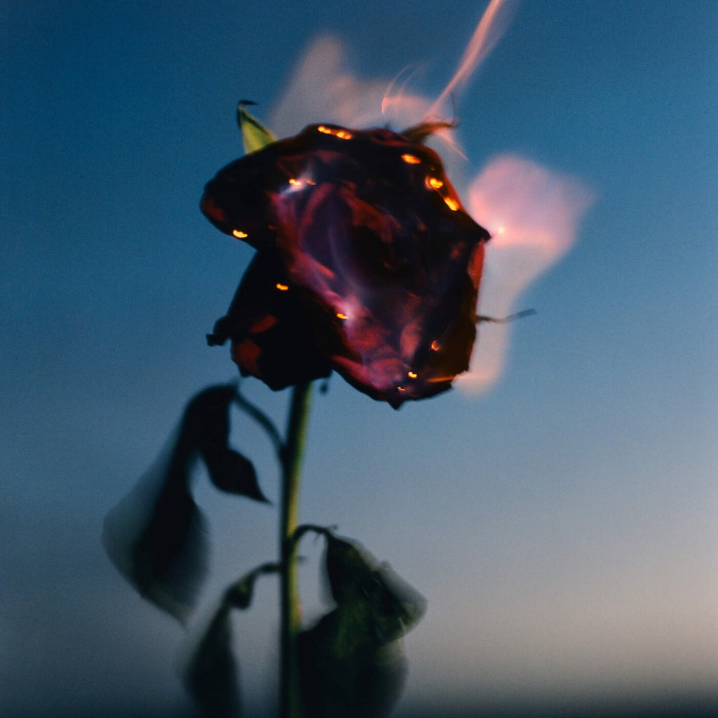 Burning Rose Scented Candle