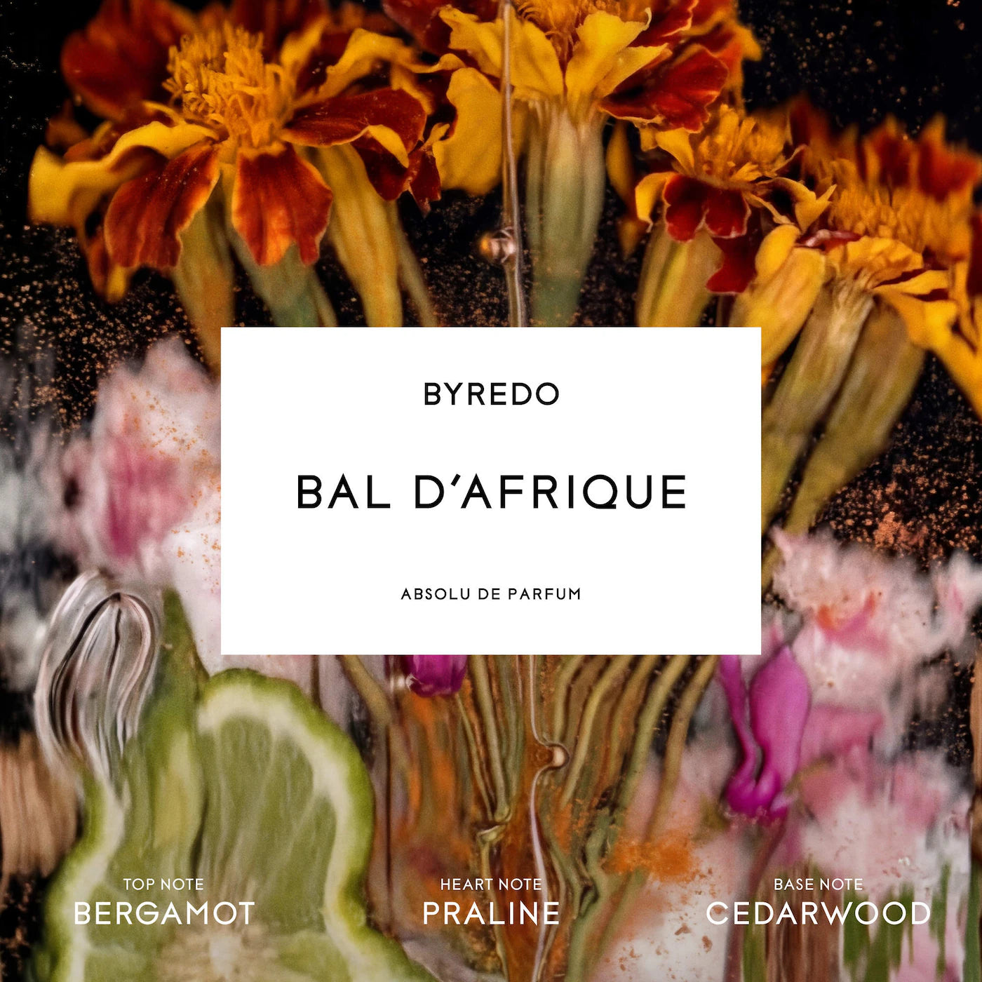 Bal d'Afrique Absolu de Parfum