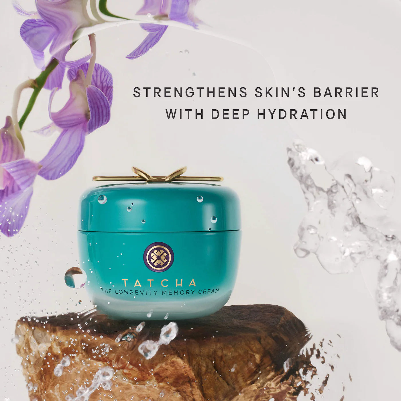 The Longevity Memory Cream