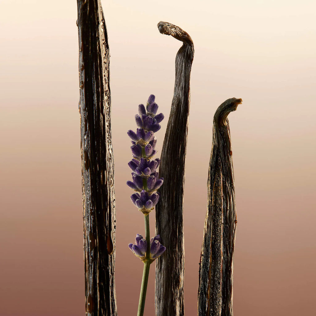 Goddess Hair Fragrance Mist with Vanilla & Lavender