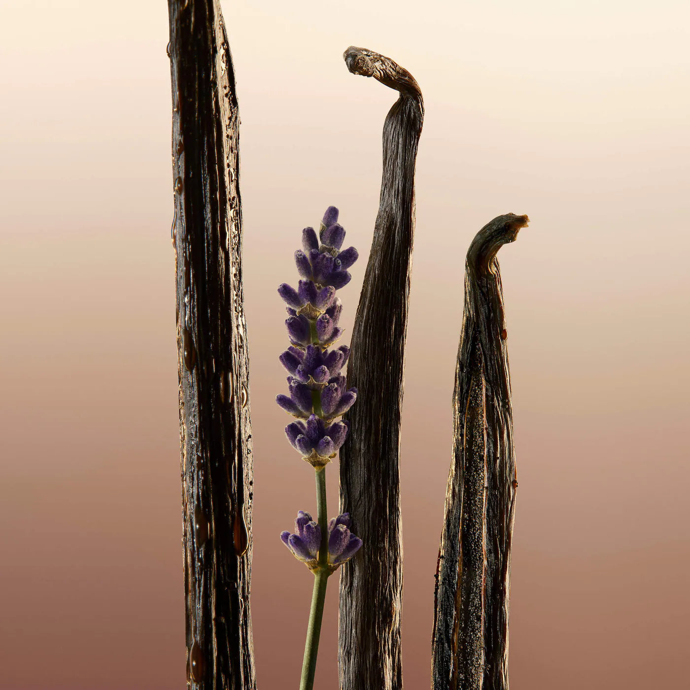 Goddess Hair Fragrance Mist with Vanilla & Lavender