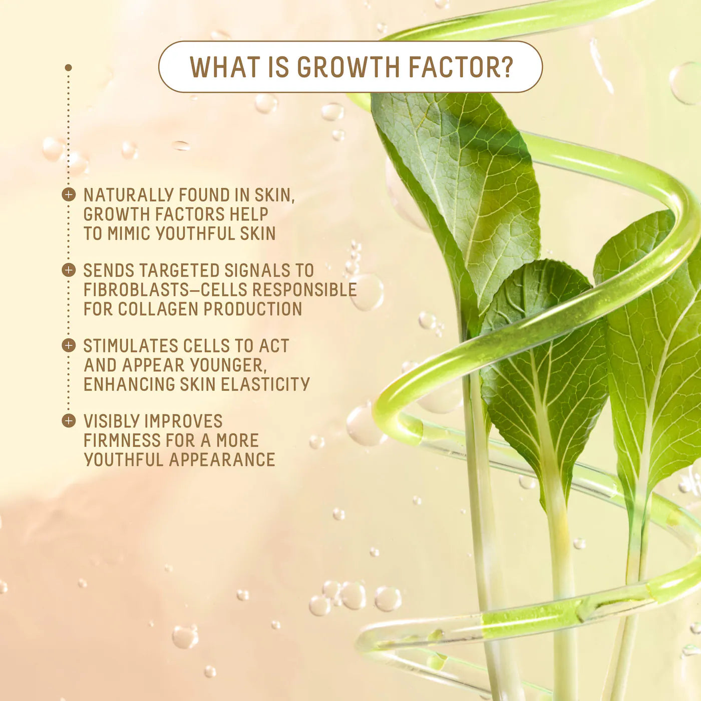 Growth Factor Firming Anti-Aging Moisturizer with Peptides, Collagen + Squalane