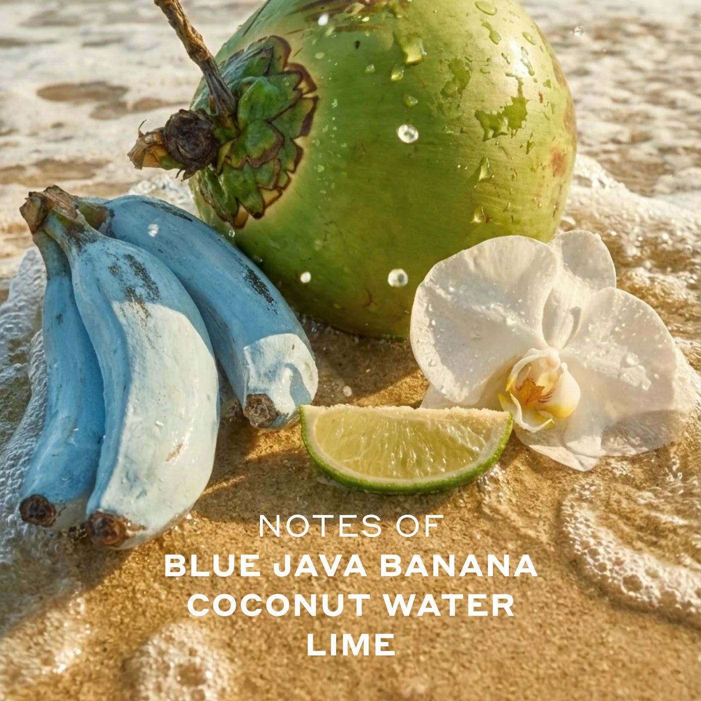 Isla Sirena Eau de Parfum with Coconut and Lime